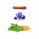 Iris Patchouli Extrait de Parfum 100ml